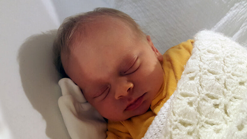 Newest member of Boot & Saw