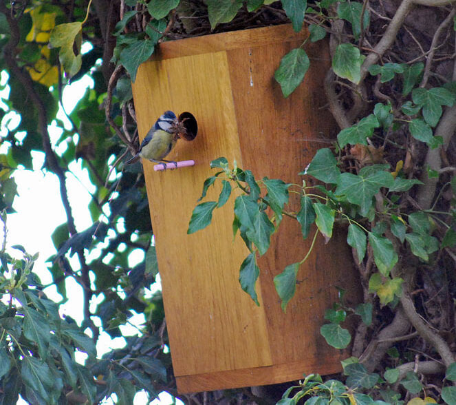 new residents